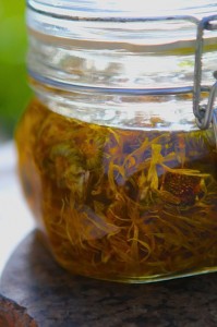 Juliet Calendula oil infusion