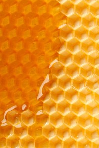 honey comb SM shutterstock_85683598