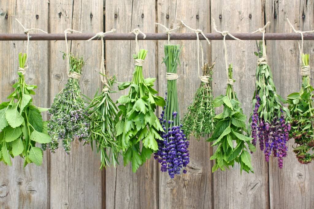 rack of herbs shutterstock_107398187