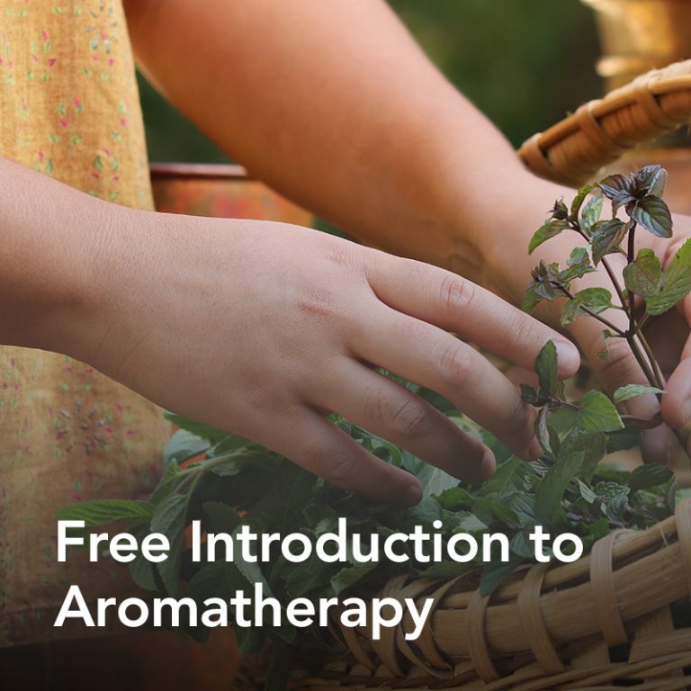 Best Aromatherapy Courses Uk at Erika Gabaldon blog